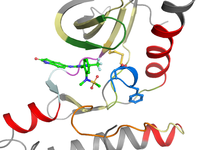 The orthosteric binding pocket