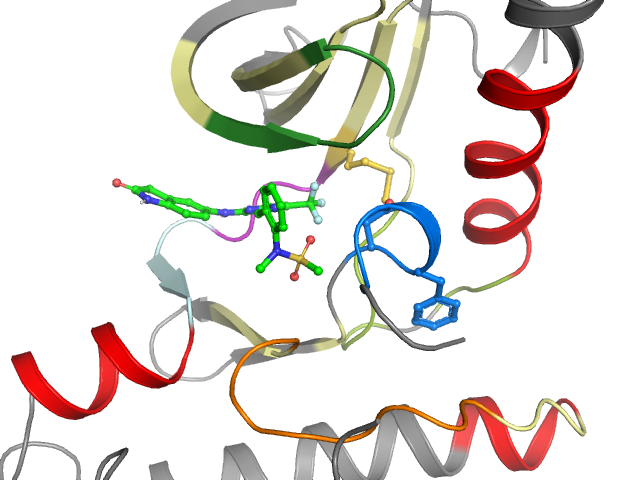 The orthosteric binding pocket