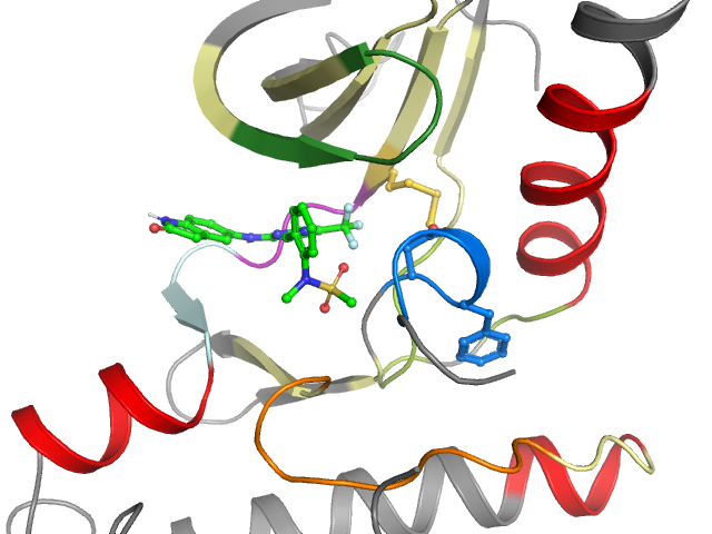 The orthosteric binding pocket