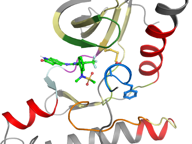 The orthosteric binding pocket
