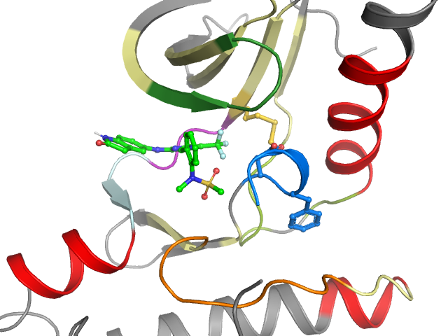 The orthosteric binding pocket