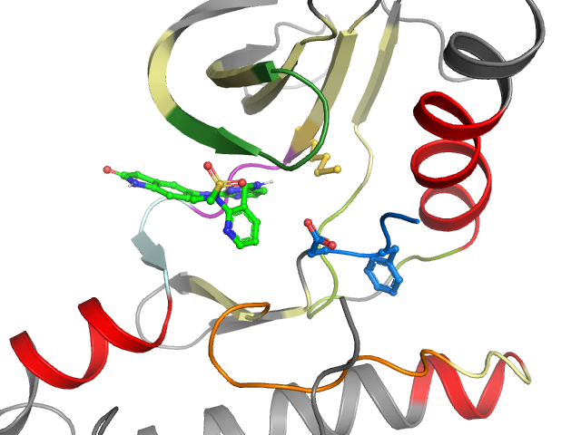 The orthosteric binding pocket