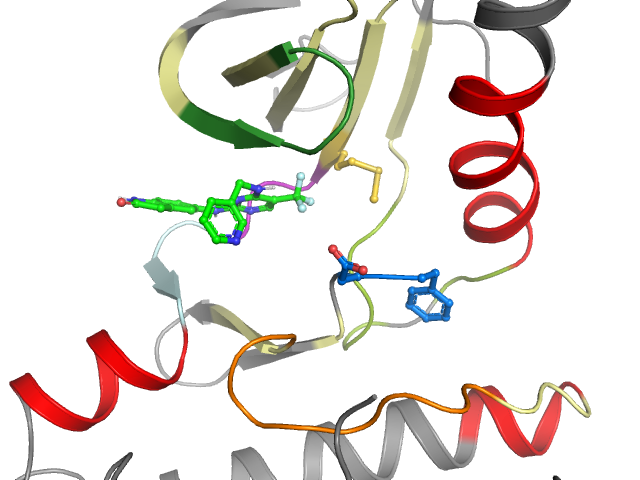 The orthosteric binding pocket