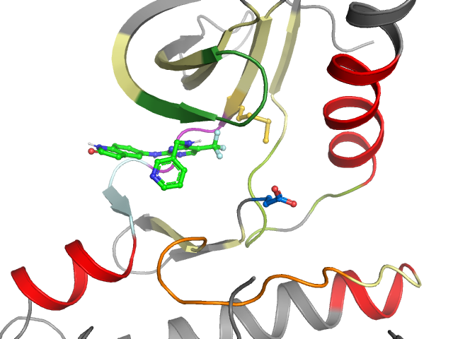 The orthosteric binding pocket