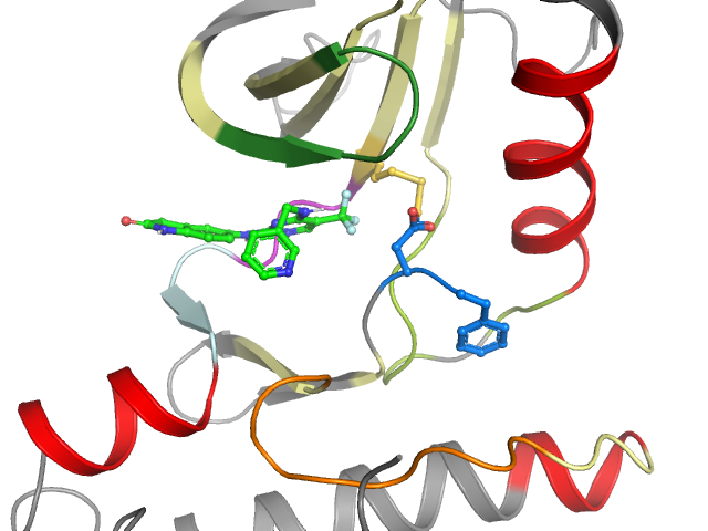 The orthosteric binding pocket