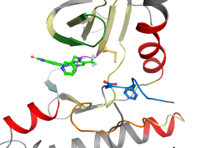 The orthosteric binding pocket