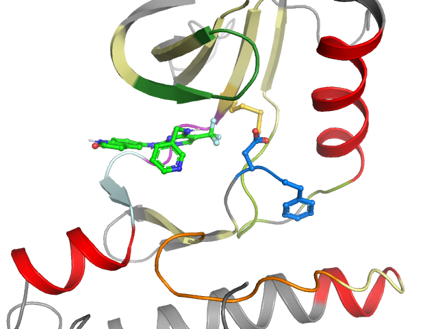 The orthosteric binding pocket