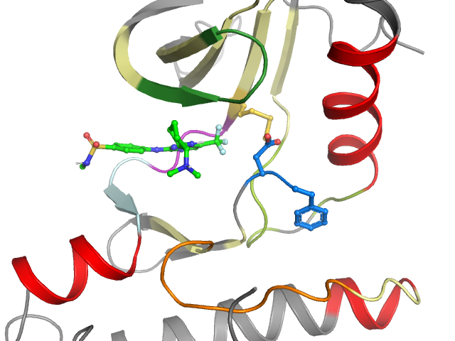 The orthosteric binding pocket