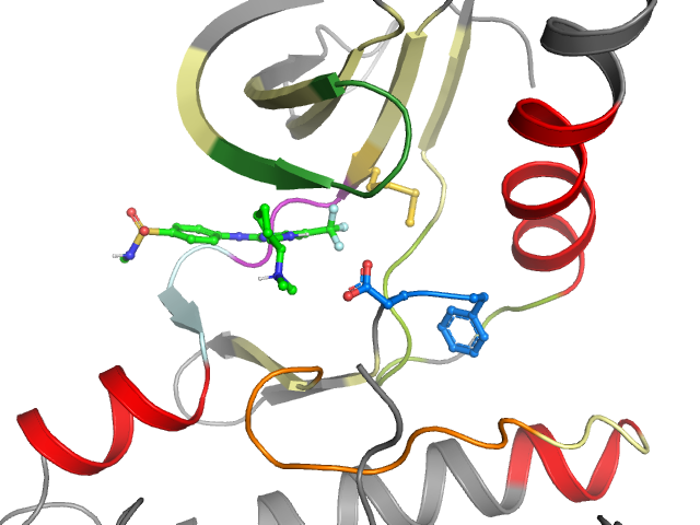 The orthosteric binding pocket