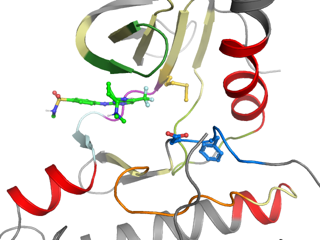 The orthosteric binding pocket
