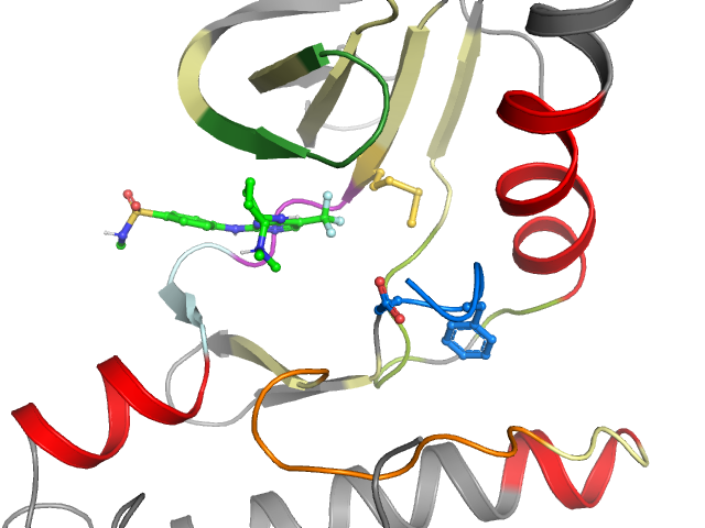The orthosteric binding pocket