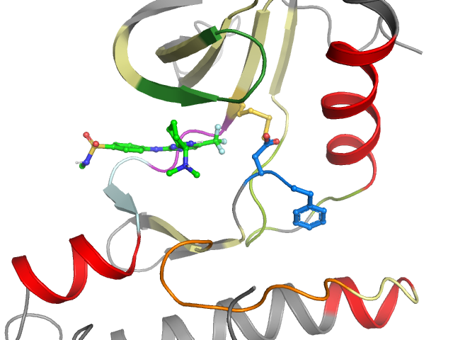 The orthosteric binding pocket