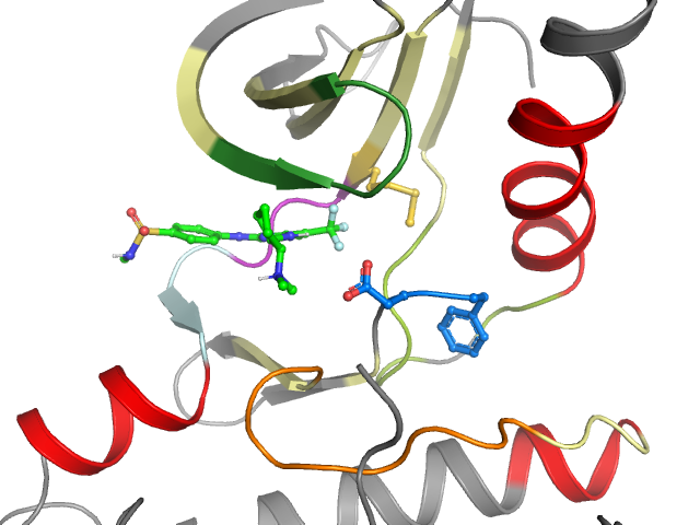 The orthosteric binding pocket