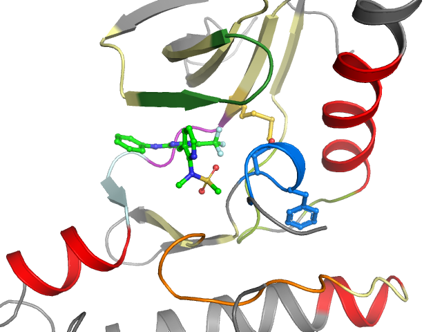 The orthosteric binding pocket