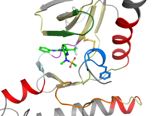 The orthosteric binding pocket