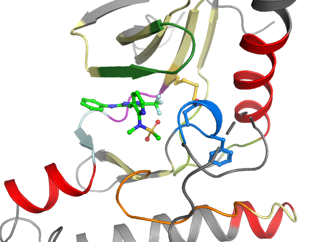 The orthosteric binding pocket