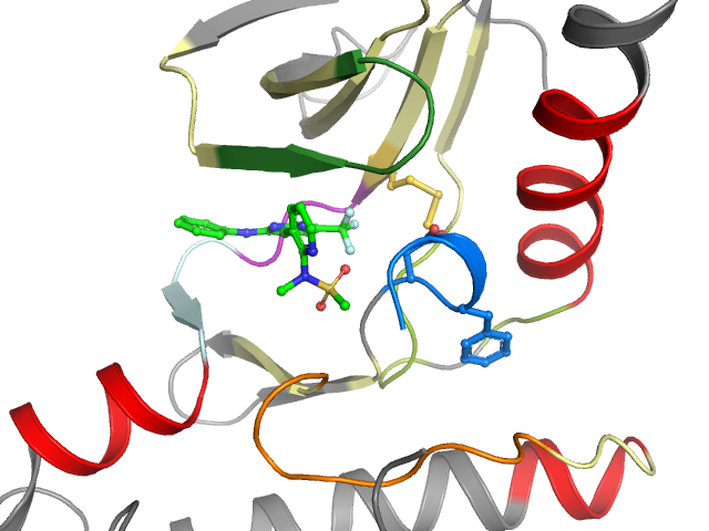 The orthosteric binding pocket