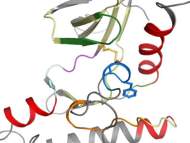The orthosteric binding pocket