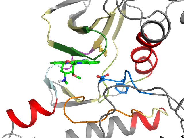 The orthosteric binding pocket