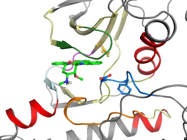 The orthosteric binding pocket