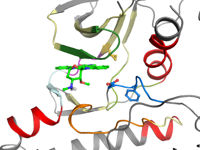 The orthosteric binding pocket