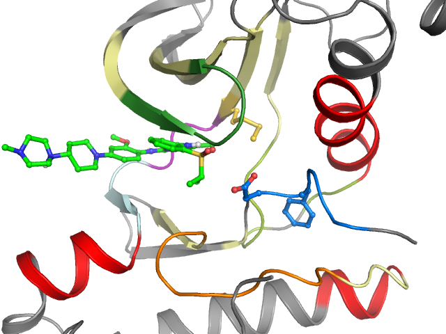 The orthosteric binding pocket