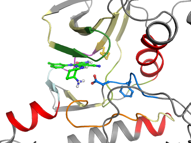 The orthosteric binding pocket