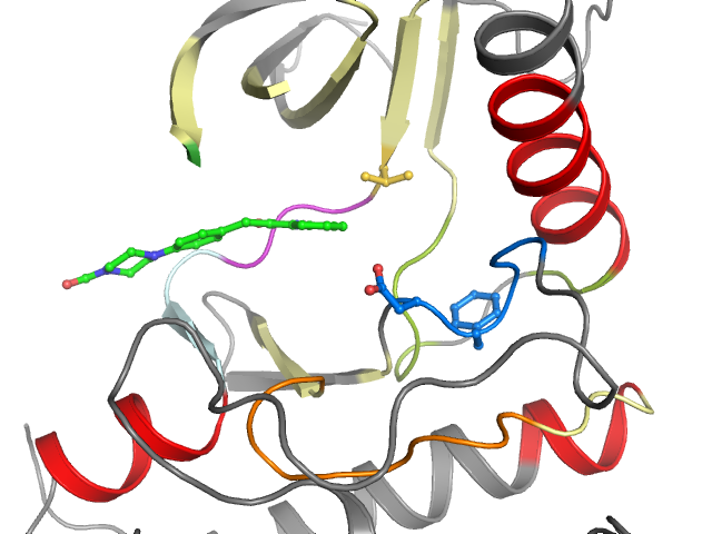 The orthosteric binding pocket