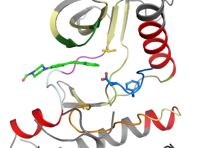 The orthosteric binding pocket