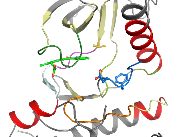 The orthosteric binding pocket
