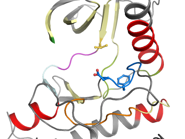 The orthosteric binding pocket