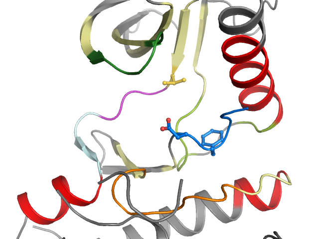 The orthosteric binding pocket