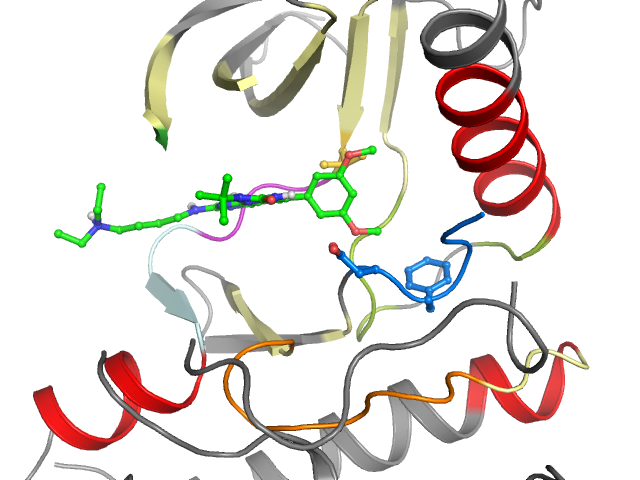 The orthosteric binding pocket