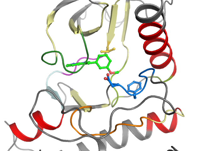 The orthosteric binding pocket