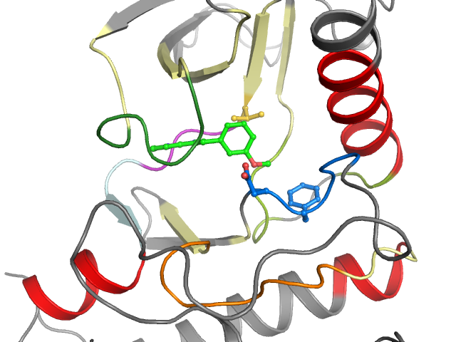 The orthosteric binding pocket
