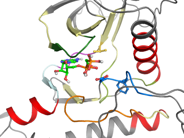 The orthosteric binding pocket