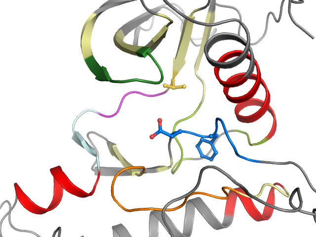 The orthosteric binding pocket
