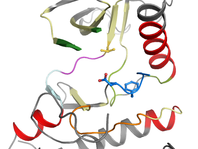 The orthosteric binding pocket