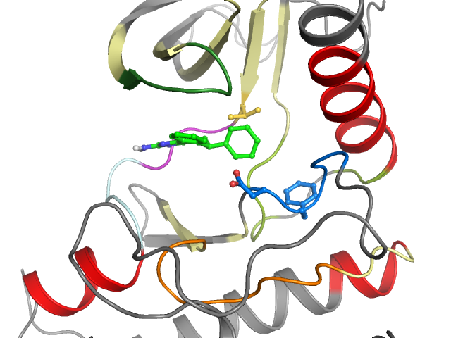 The orthosteric binding pocket