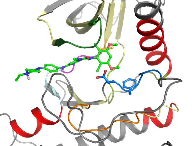 The orthosteric binding pocket