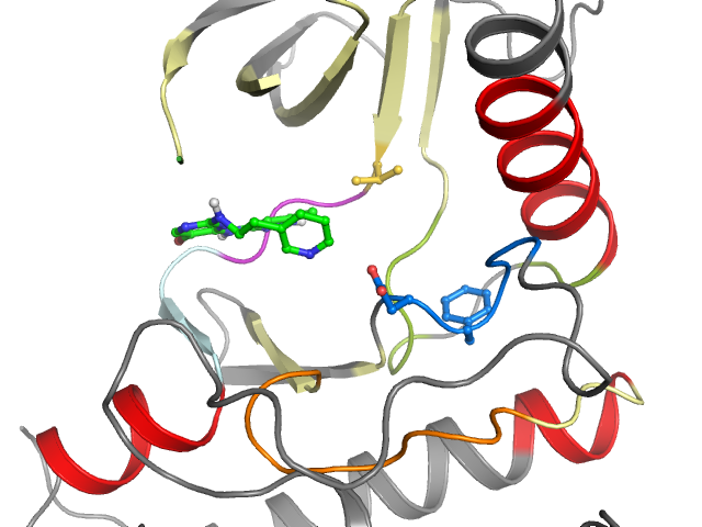 The orthosteric binding pocket