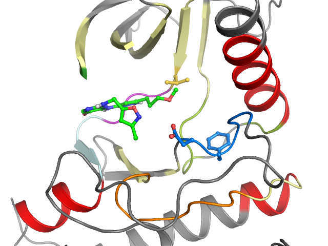 The orthosteric binding pocket