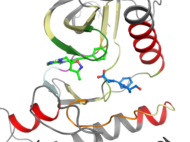 The orthosteric binding pocket