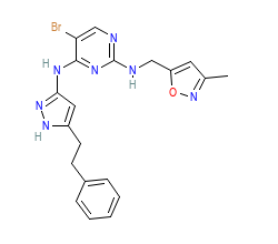 2D structure of the orthosteric ligand