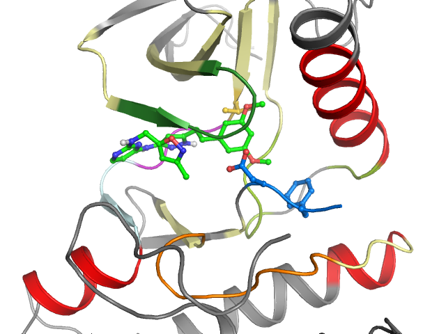 The orthosteric binding pocket