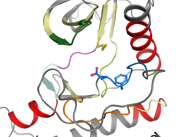 The orthosteric binding pocket