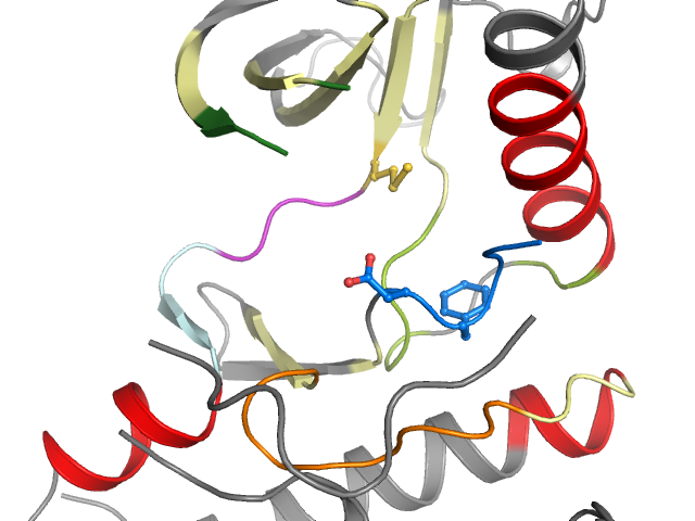 The orthosteric binding pocket