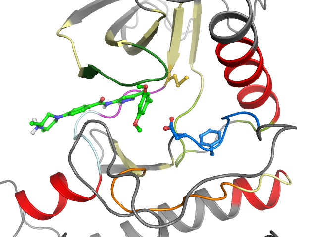 The orthosteric binding pocket