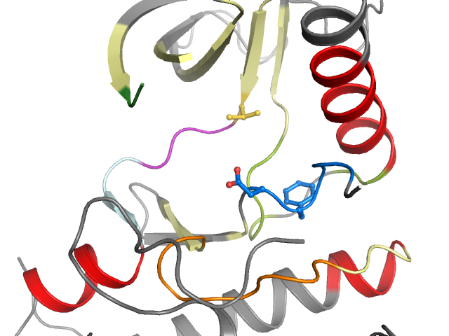 The orthosteric binding pocket