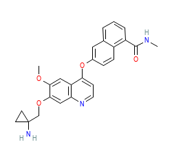 2D structure of the orthosteric ligand